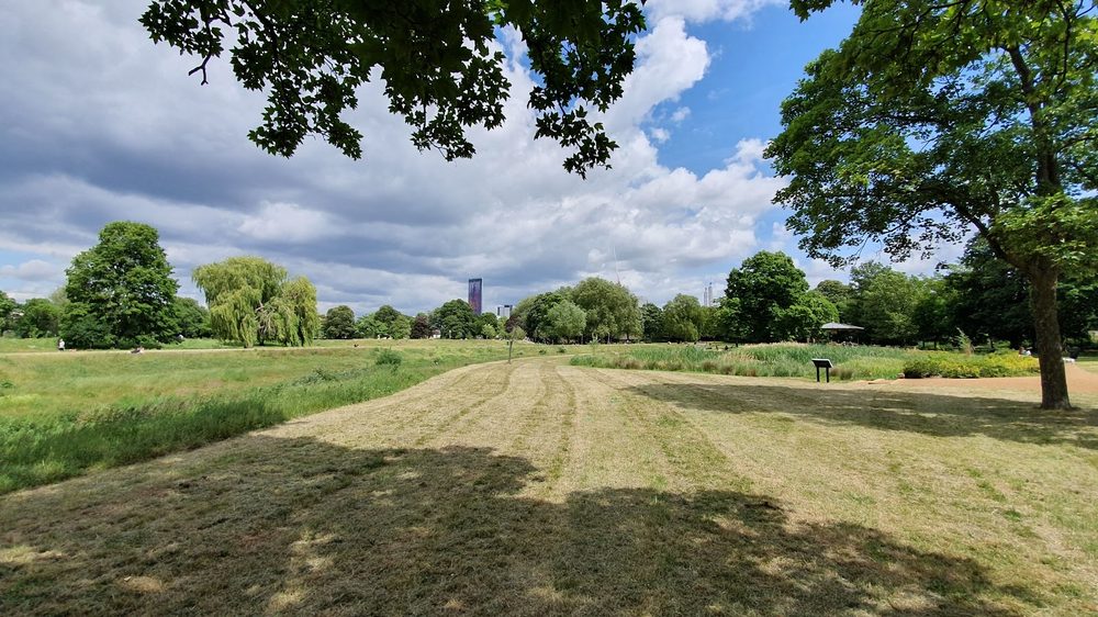 Wide open parkland at Wandle Park, freshly mown grass framed by tree branches under a big cloudy sky